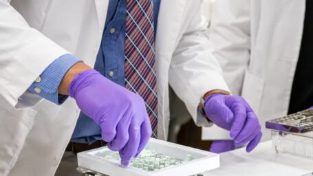 A close up of purple gloved hands grabbing a green powdery substance.